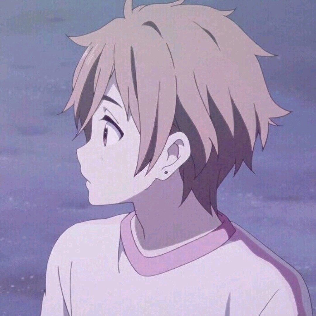 热门番剧行为